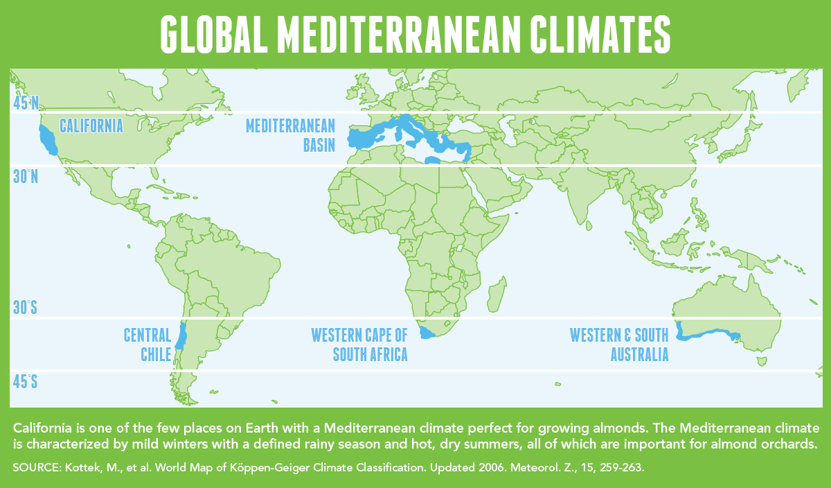 California S Mediterranean Climate   Global Mediterranean Climates California Almonds V5 Final[2] 0 